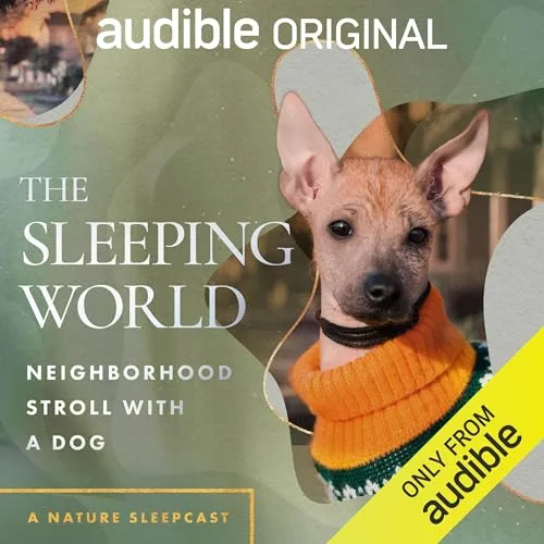 The Sleeping World: Neighborhood Stroll with a Dog By Mumble Media, Audible Sleep